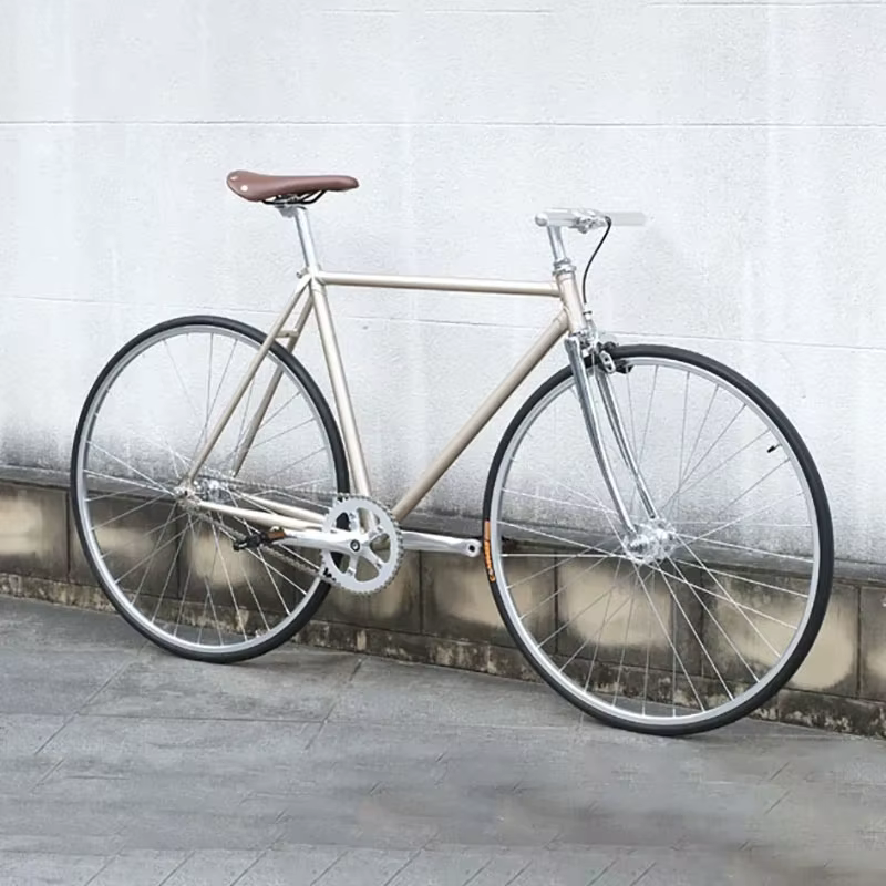 Pédalier de vélo Vintage à vitesse unique, engrenage fixe, argent, roue dentée de vélo de route, 170