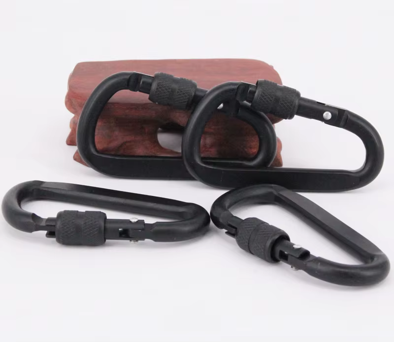 Mousqueton en alliage d'aluminium noir, anneau en D, Clip de porte-clés de Camping, mousqueton, Kit 