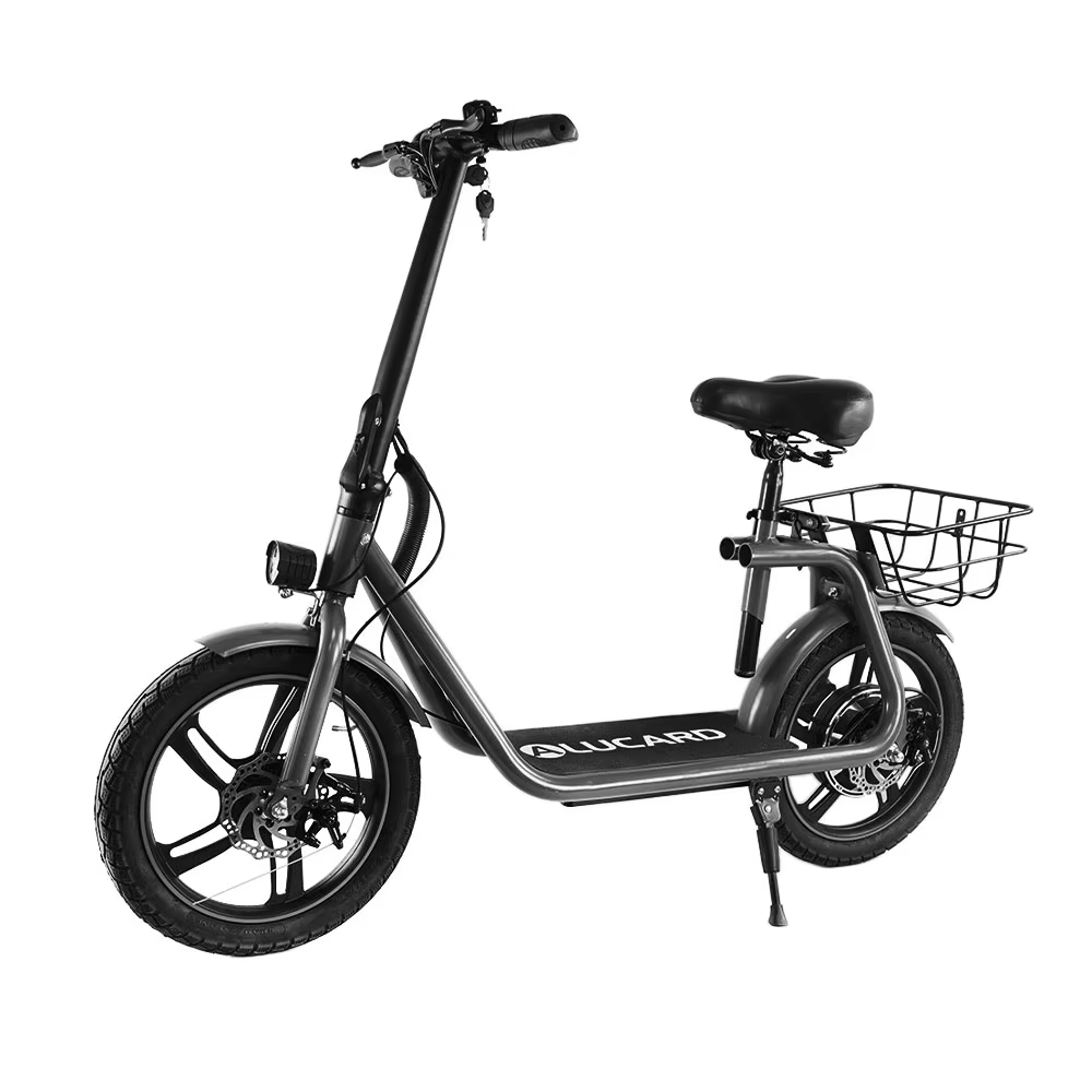 Vélo électrique à pneus larges, Ebike 450W, 25 km/h, 16 pouces, pliable, batterie au lithium pour ad