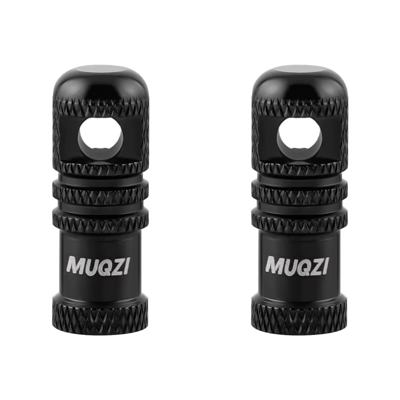 Bouchon de Valve de vélo avec fonction de retrait du noyau de Valve, 2 pièces, capuchon de tige de V