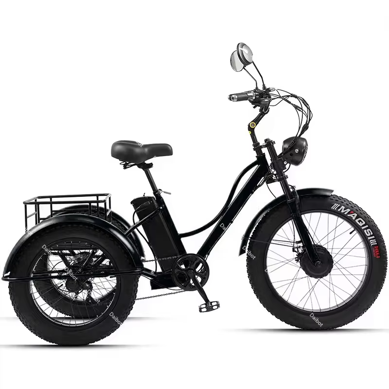 Vélo électrique adulte gros pneu montagne pour homme 48V 750W Tricycle électrique puissant adultes C
