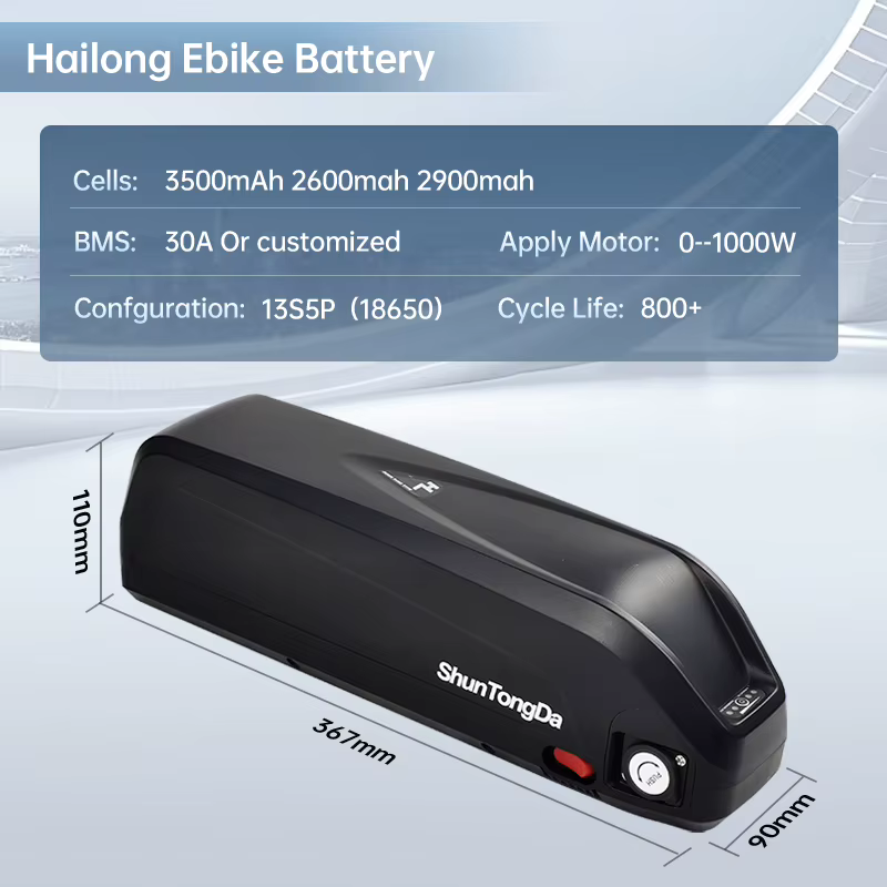 HAILONG-Batterie lithium-ion 48V, 13/14, 5Ah, avec chargeur, pour vélo électrique eBike 250/350/500/