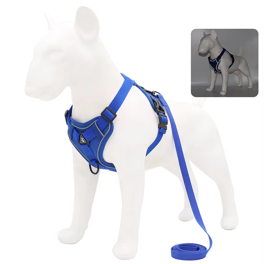 Ensemble harnais et laisse, accessoires pour animaux de compagnie, harnais pour petit chien, bouledo