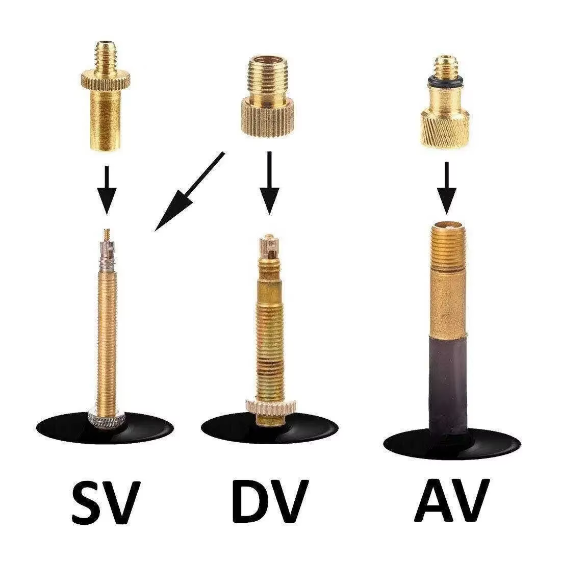Kit d'adaptateurs universels pour valves de vélo : convertit les valves Presta (SV) et Dunlop (DV) e