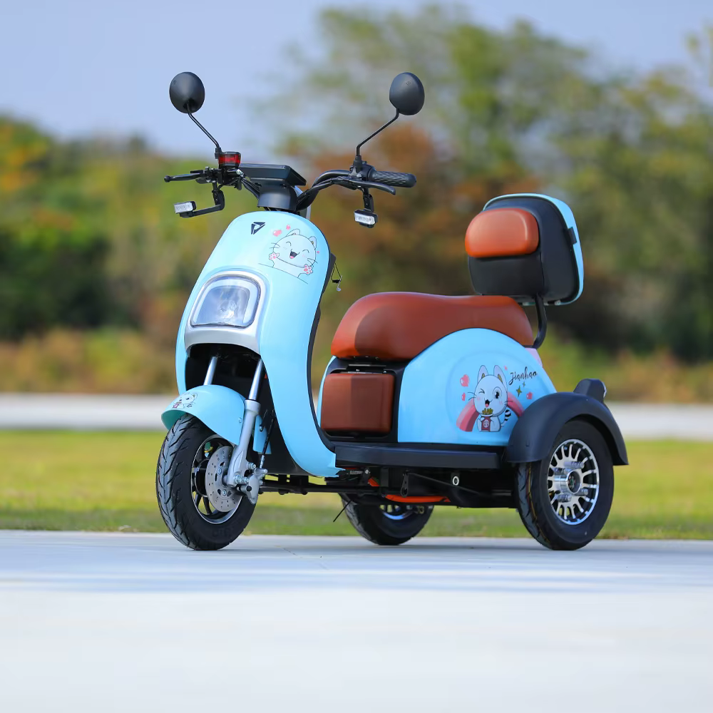 Tricycle électrique 800W pour usage familial, vélo électrique à 3 roues, scooter, pédicab pour adult