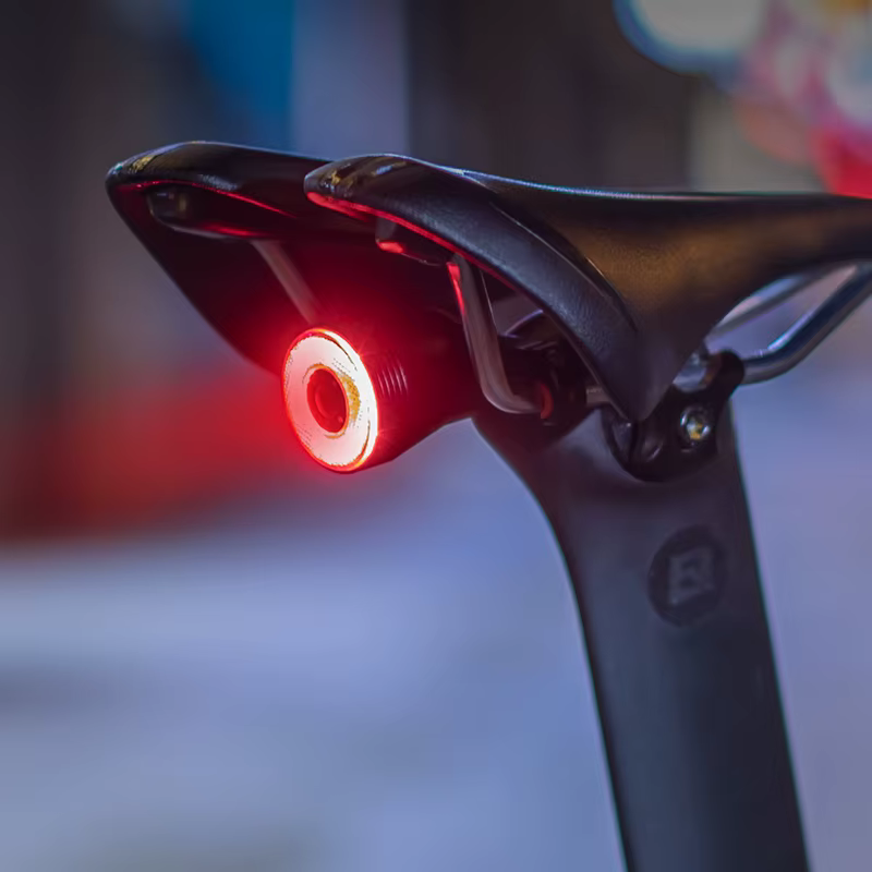 ROCKBROS Q5 feu arrière de vélo feu arrière LED IPx6 étanche USB Charge détection de frein automatiq