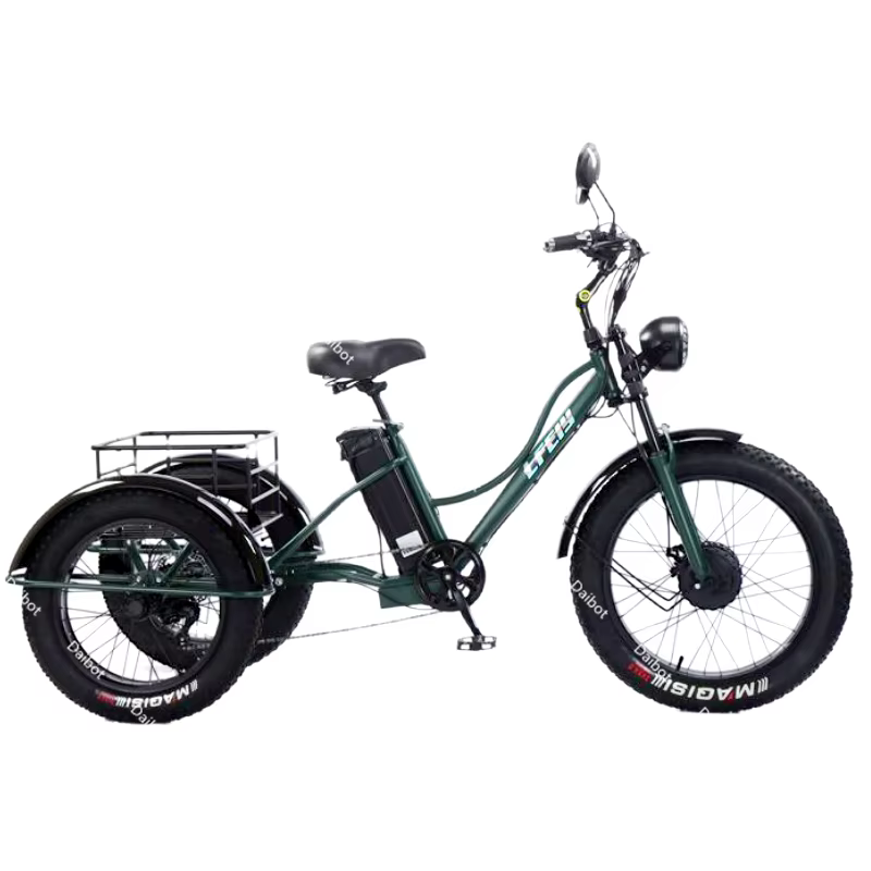 Nouveau vélo électrique familial Cargo 3 places pour adultes avec siège arrière tout Terrain 750W 48