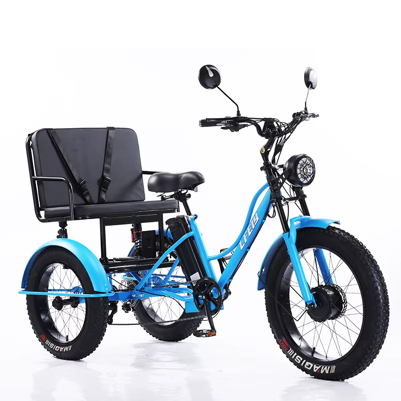 Tricycle électrique à pneus larges de 24 pouces, 750W, 48V18Ah, pour adultes, 3 roues, frein à disqu