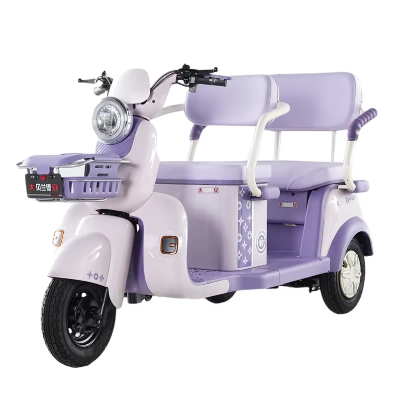 Tricycle électrique 60V, tricycle électrique de fret, capacité de charge lourde pour véhicule de mob