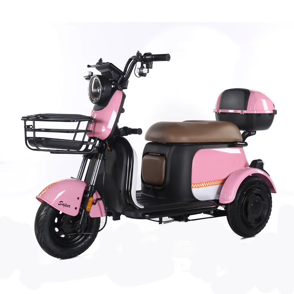 Vélo électrique cargo 500W à 3 roues, vélo électrique vintage à 3 roues, tricycle électrique pour ad