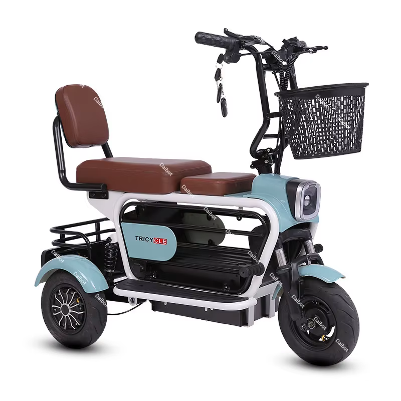 Trottinette Électrique Tout Terrain à 3 Roues pour Adulte, avec mir pour Animaux Domestiques, pour 2