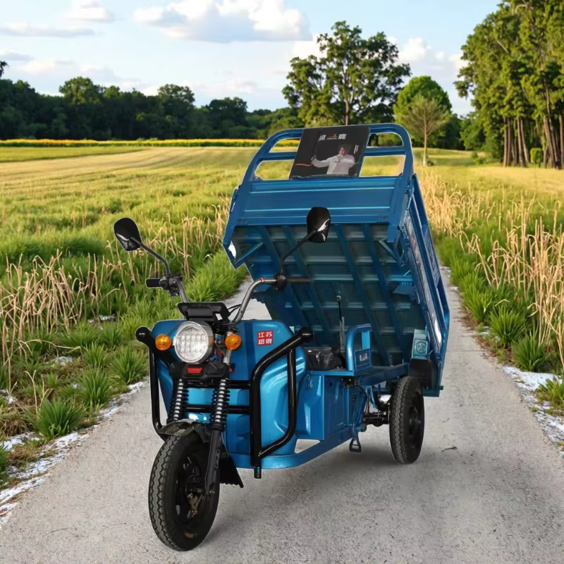 Tricycle électrique chinois à longue portée (60 km), carrosserie ouverte, pour le transport agricole