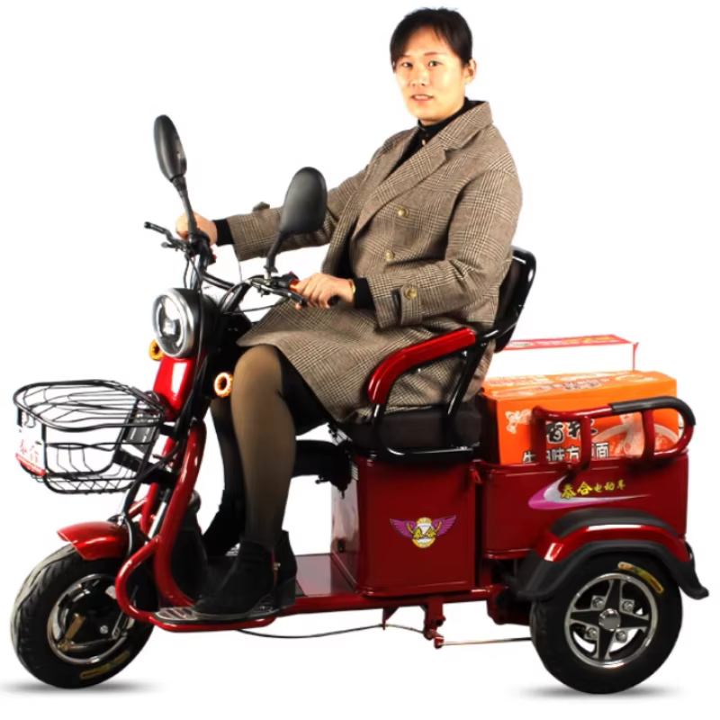 Tricycle électrique Cargo puissant pour adulte, 3 roues avec siège enfant/réglable, Scooter électriq