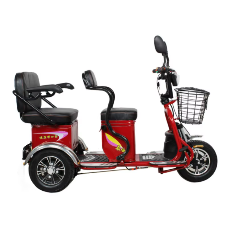 600W 60V 3 roues Parent enfant Scooter électrique 2 places pour personnes âgées avec batterie amovib