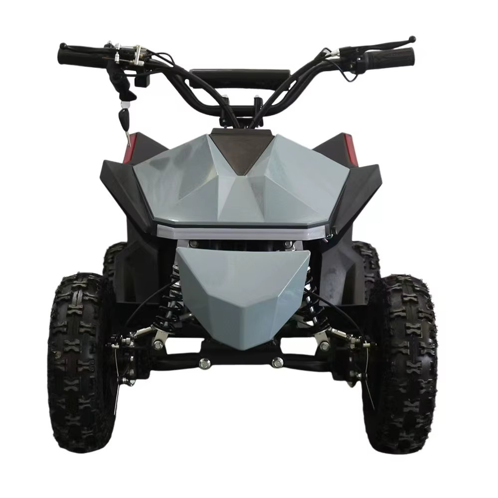 Mini VTT électrique 36V 1000W enfants Mini Quad vélo électrique Mini Atv 3 vitesses