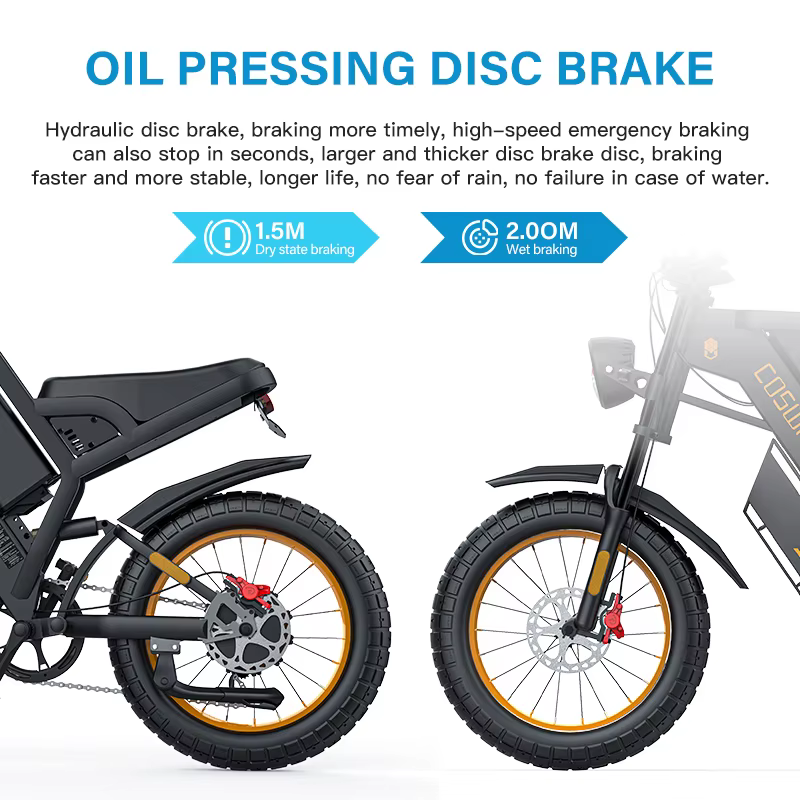 Vélo électrique avec gros pneus de 20 pouces, 2000W, 48V, 25Ah, D343