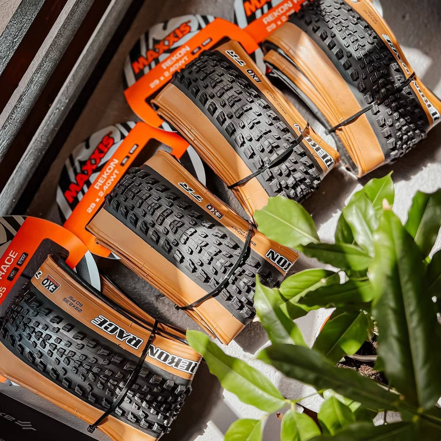 MAXXIS-VTT sans chambre à air REKON RACE EXO TR(M355RU), 29x25/2, 35