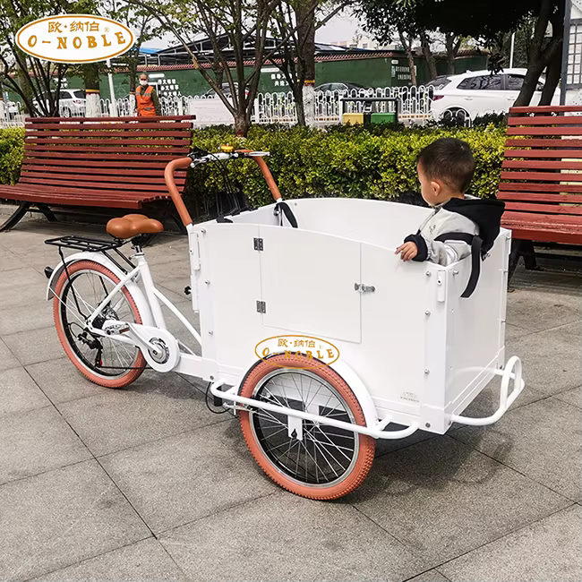 Vélo électrique avec coffre de chargement, tricycle à 3 roues, nouveau design