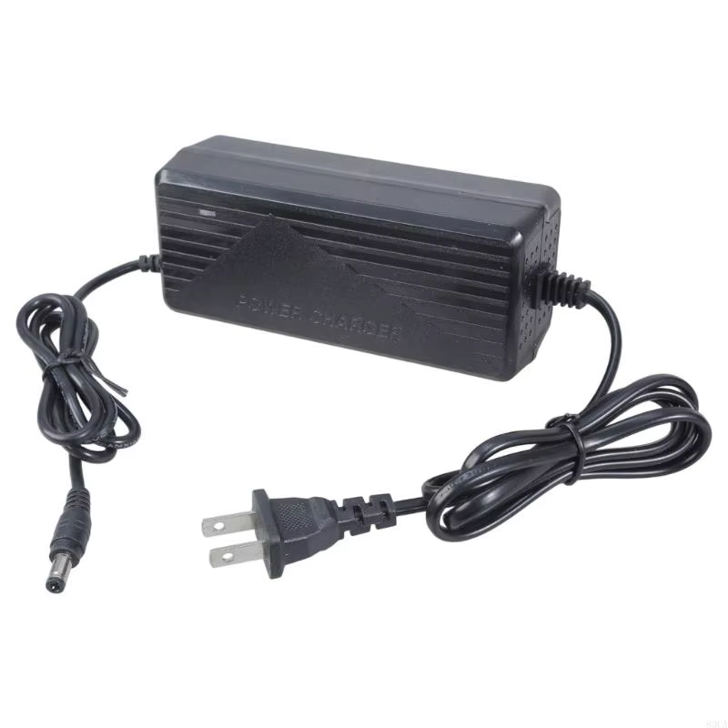 Dispositif batterie Scooter 42V 2A pour vélo Scooter électrique durable