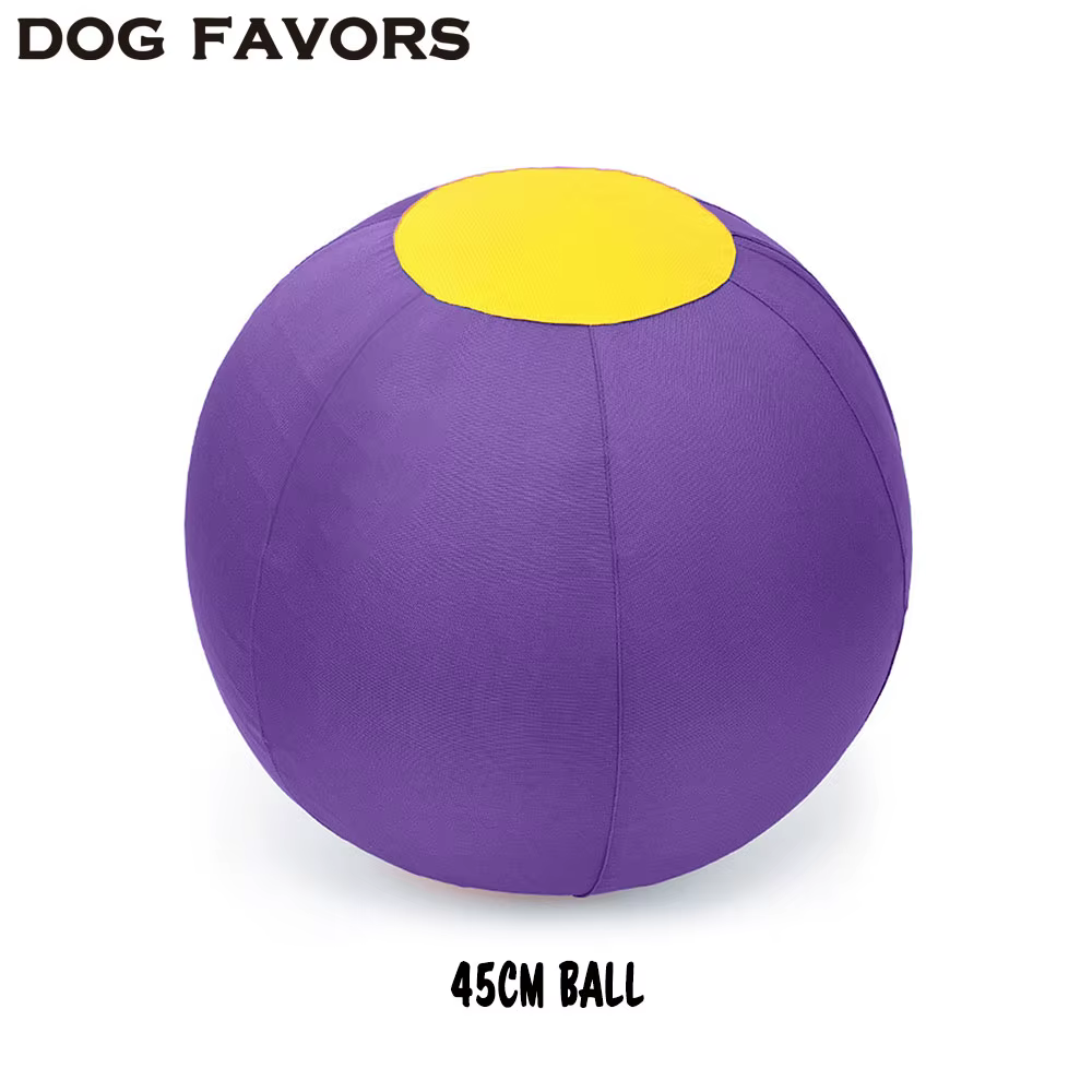 Jouets géants pour animaux de compagnie : balles de jeu d'extérieur pour chiens de taille moyenne et