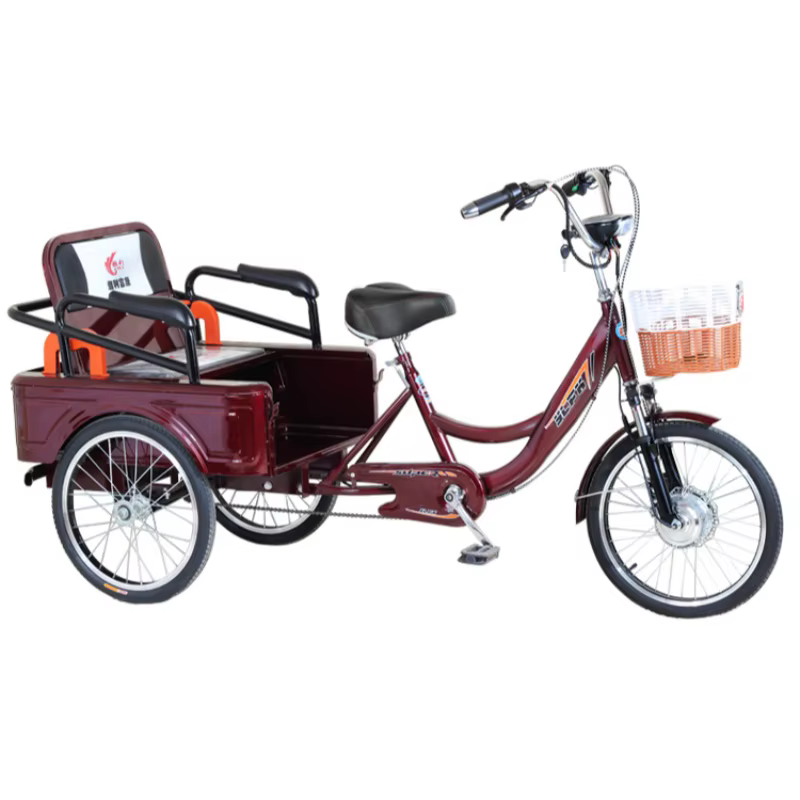 Vélo cargo électrique à trois roues pour adultes, tricycle électrique avec siège passager, batterie 