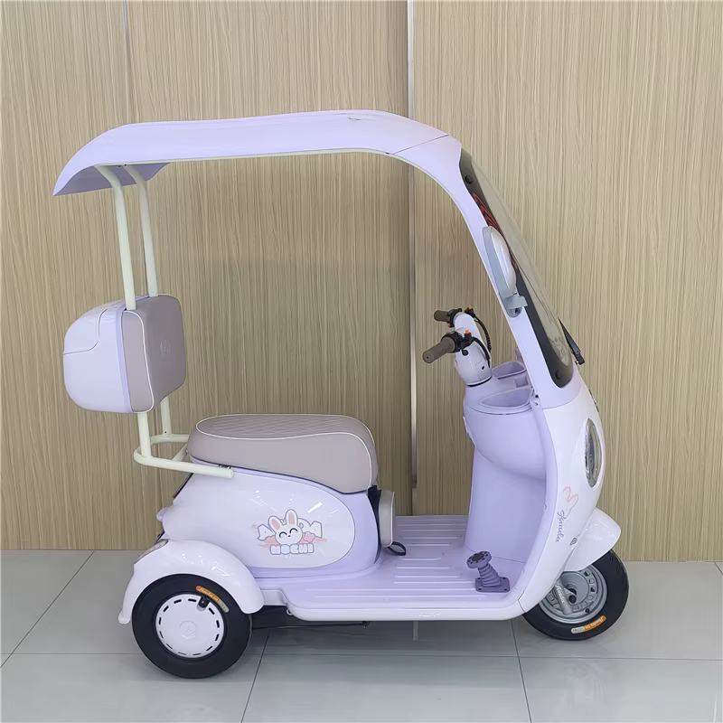 Tricycle électrique de loisirs à 3 roues 60V, corps fermé avec capacité de chargement disponible à v