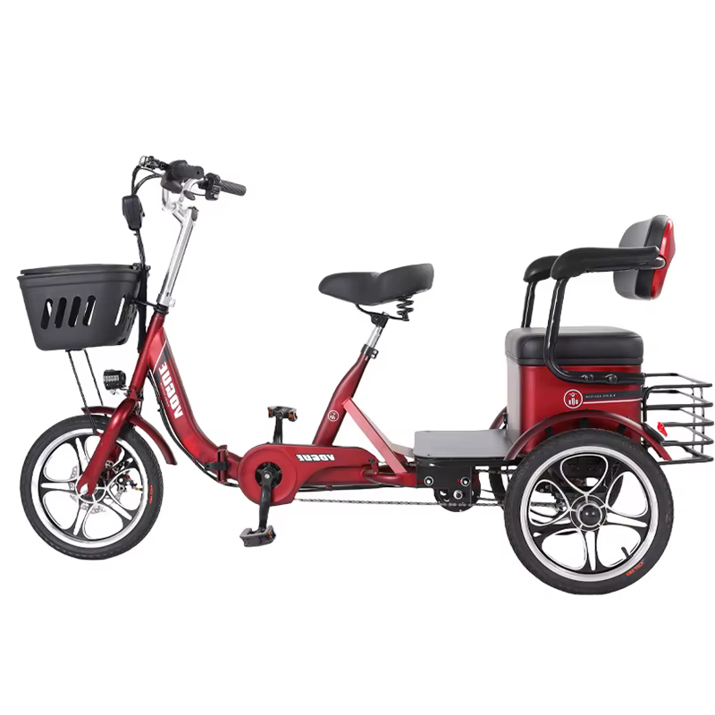 Tricycle Électrique à 3 Roues avec Siège Passager pour Adulte, Scooter de Mobilité, 48V, 400W
