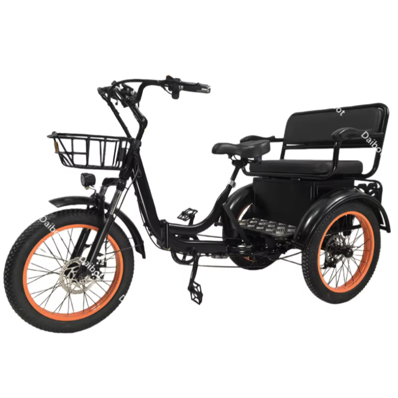 Nouveau tricycle électrique familial pour adultes avec siège arrière, 750W48V, 3 roues, vélo électri