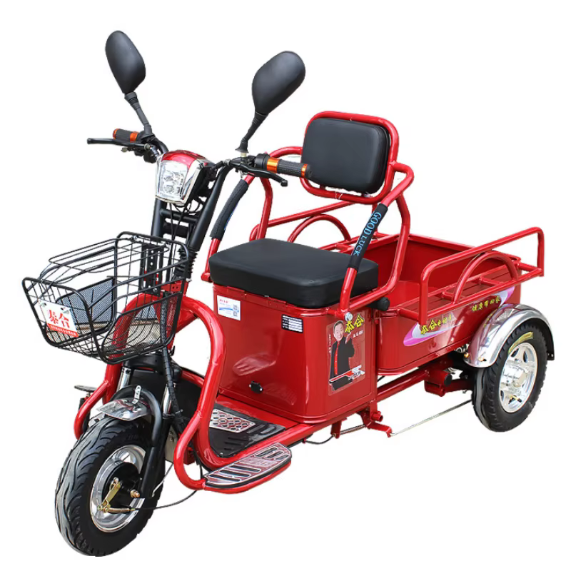 Tricycle électrique puissant pour adultes, 1000W, 48V, grande capacité, 3 roues, Scooter électrique,