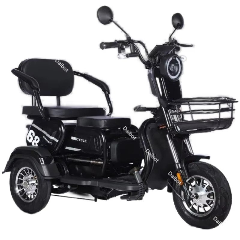 Tricycle électrique adulte Senior avec siège passager 600W 48V 20AH famille tout Terrain Scooter éle