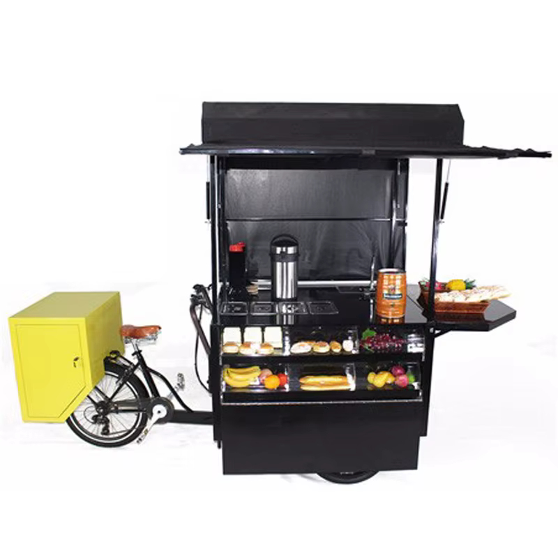 Vélo de Rue Rétro à Moteur dans la Roue Arrière, 500W, Nouveauté