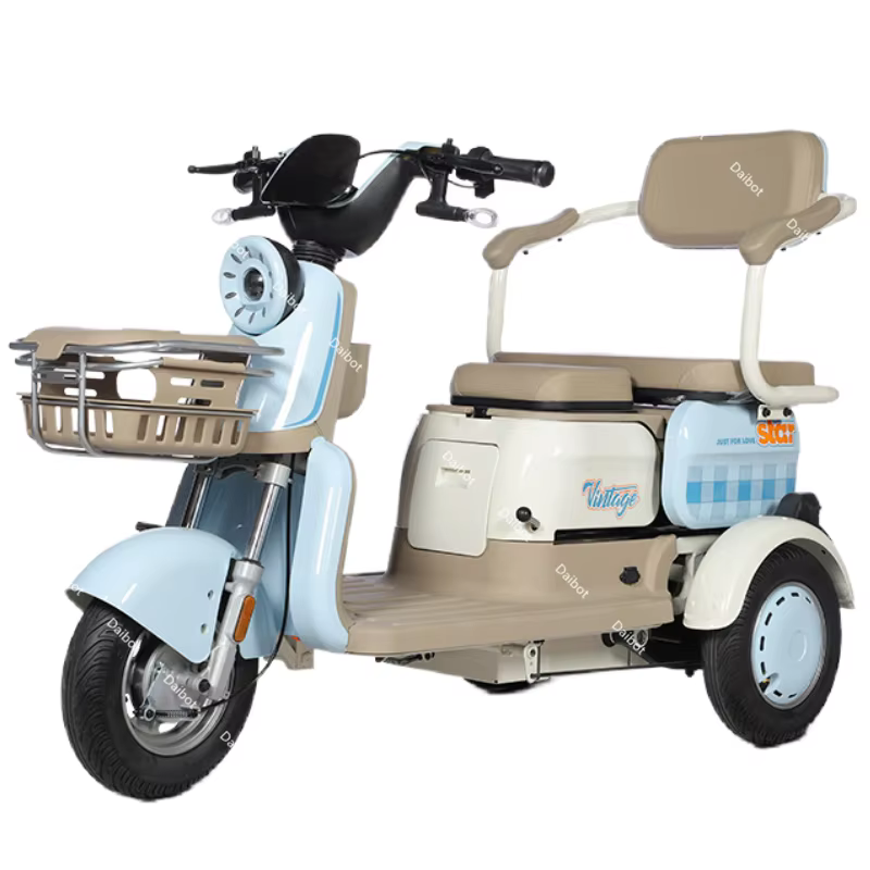 Trottinette Électrique à 3 Roues pour Adulte, Tricycle Cargo de 1000W, avec mir, pour Femme et Passa