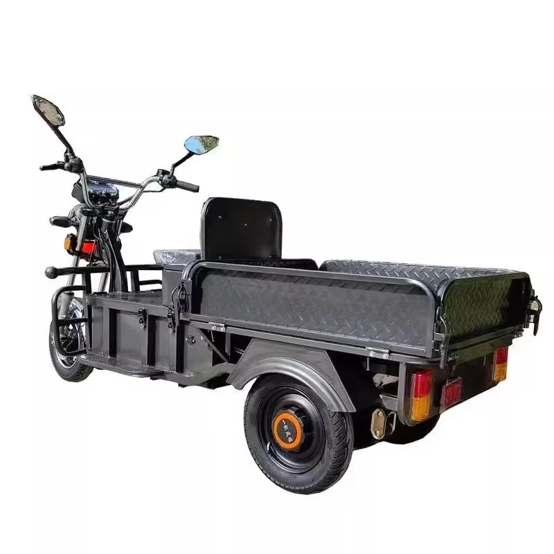 VIMODE 2024-Tricycle Cargo Électrique 1500W, RapKing Rapide, Véhicule pour la Livraison de Cargaison