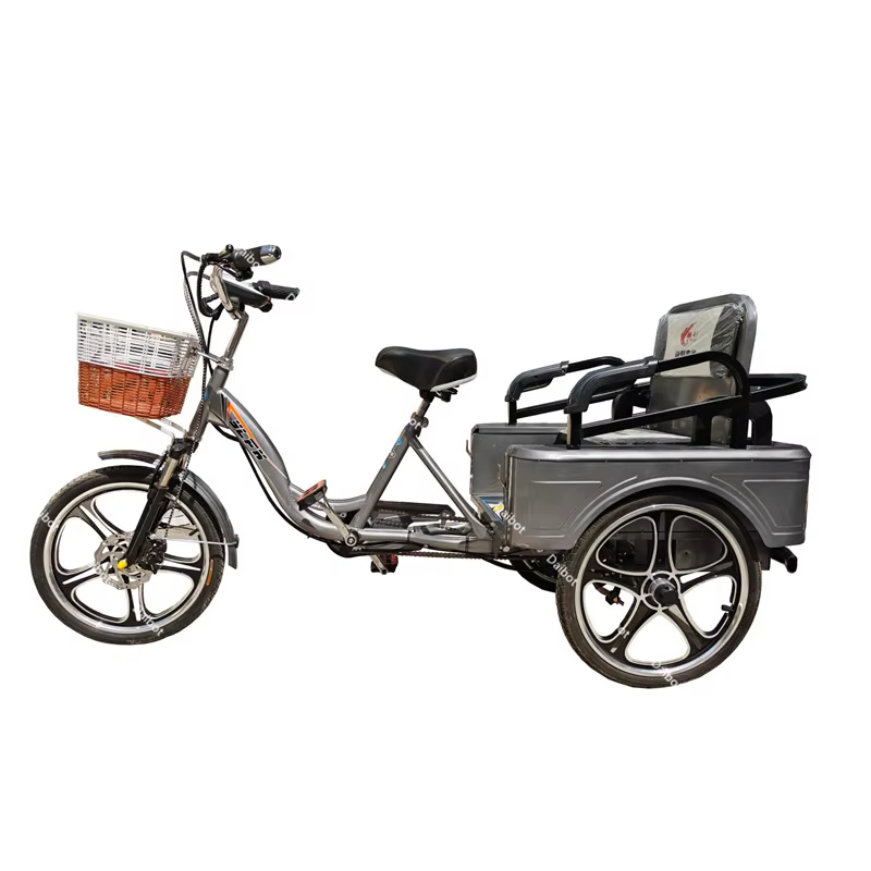 350W 48V nouveau Tricycle électrique à 3 roues vélo Cargo avec passagers pour personnes âgées famill