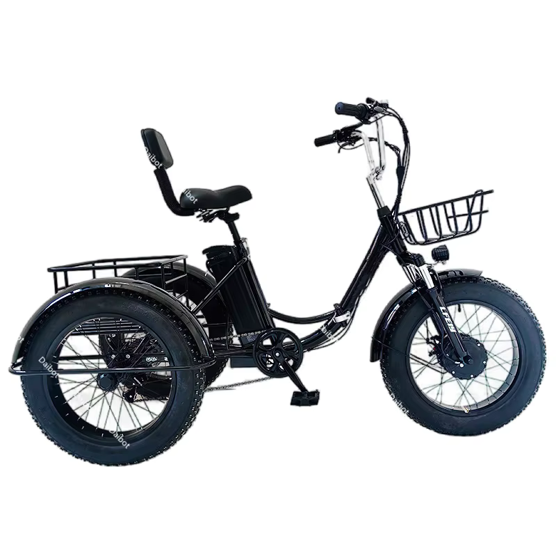 Tricycle électrique pliant de 20 pouces pour adultes, 500W 48V, 3 roues, roue électrique pour vélo F