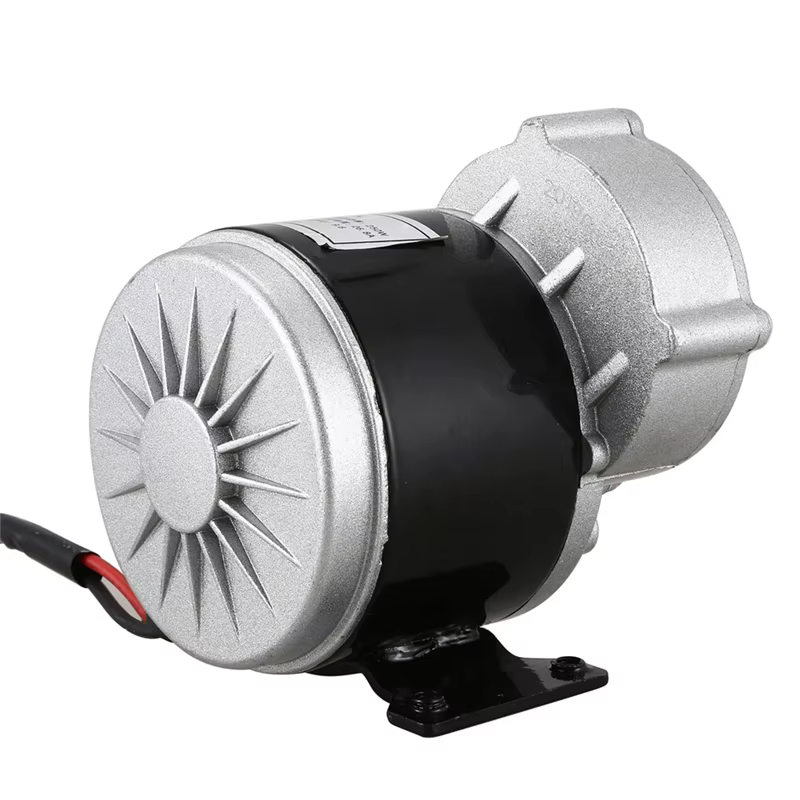 HOES-2X MY1016Z2 250W 12V DC engrenage moteur brossé e-bike moteur brosse moteur Tricycle électrique