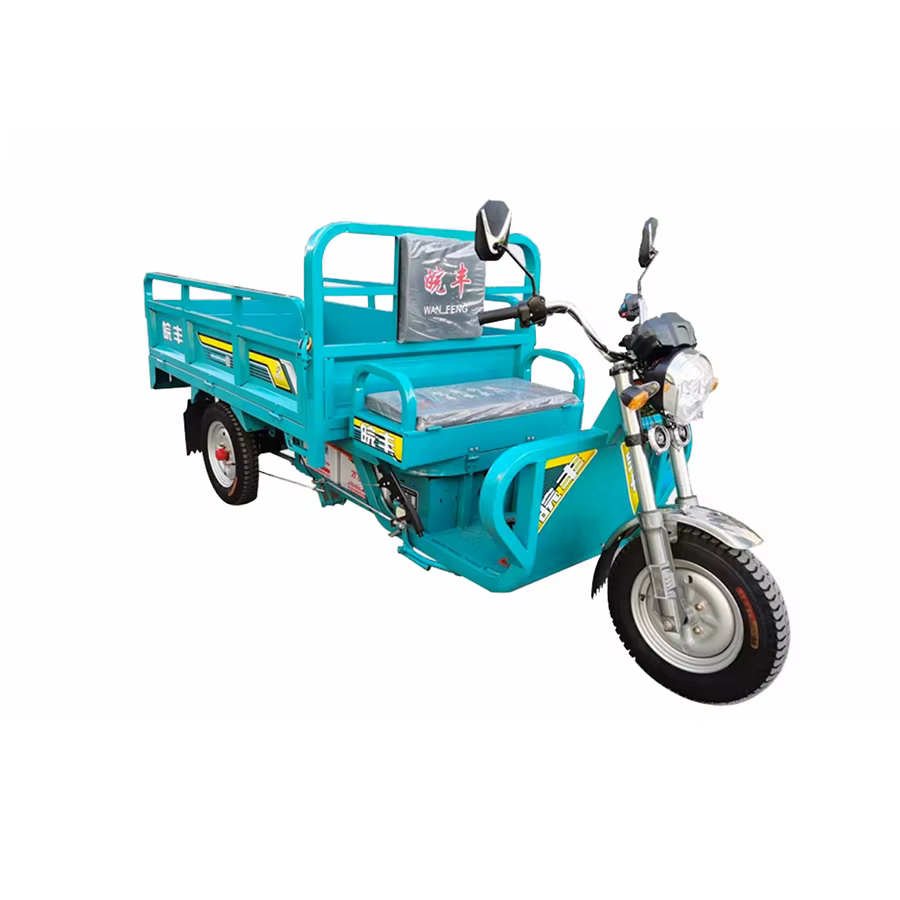 Tricycle électrique à trois portes et 3 roues ouvertes de 1.9m pour adultes, avec charge utile de 40