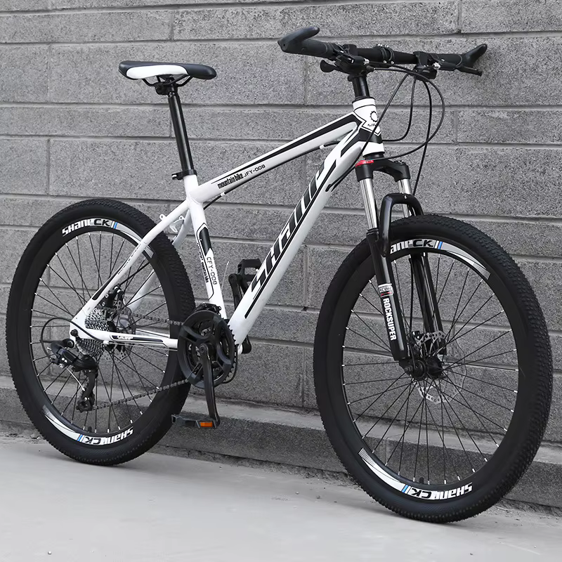 Chine pas cher en gros en acier à haute teneur en carbone Cool Sport vélos vtt hommes course VTT vél