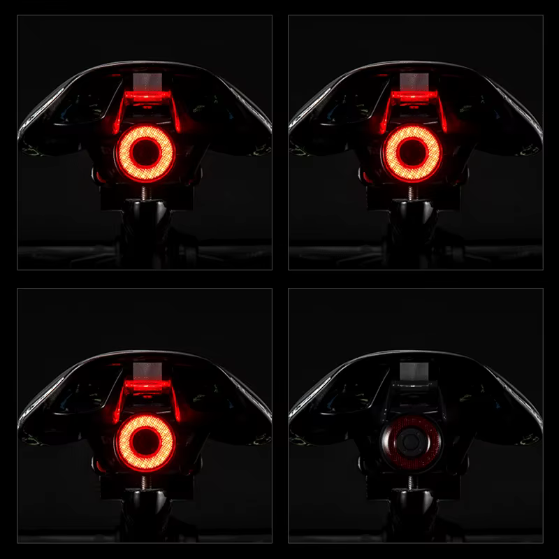 ROCKBROS Q5 feu arrière de vélo feu arrière LED IPx6 étanche USB Charge détection de frein automatiq