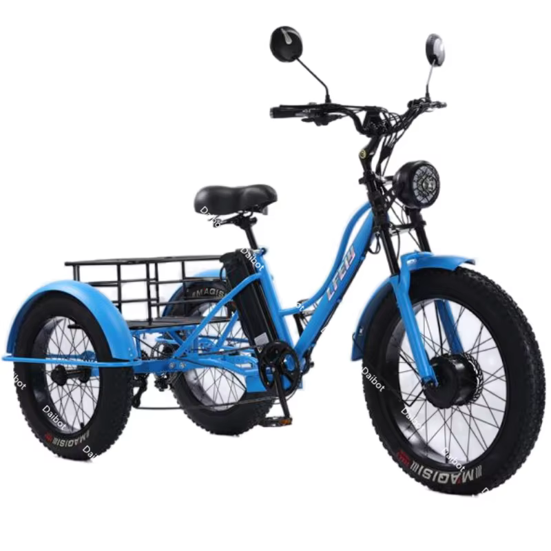 Tricycle électrique Cargo gros vélo pour deux personnes 2 places 750W 48V hors route puissant Tricyc