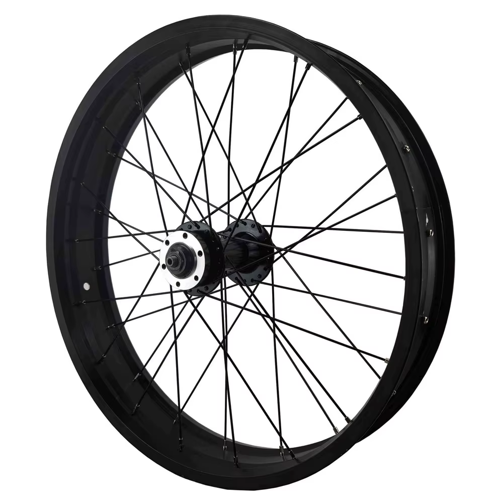 Gros vélo roue avant Ebike 20 et 26 pouces
