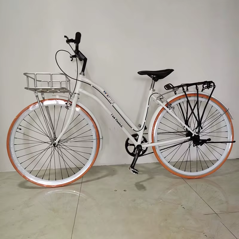 Panier de vélo 700C à vitesse unique