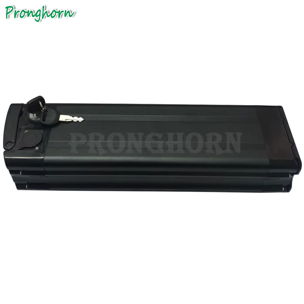 Batterie eBike 36V 10Ah 13Ah 15Ah 18Ah 20Ah pour 500W 350W 250W Prophete/Phylion/MiFa/Rex/Prophete/Trio Batteries de vélo électrique.