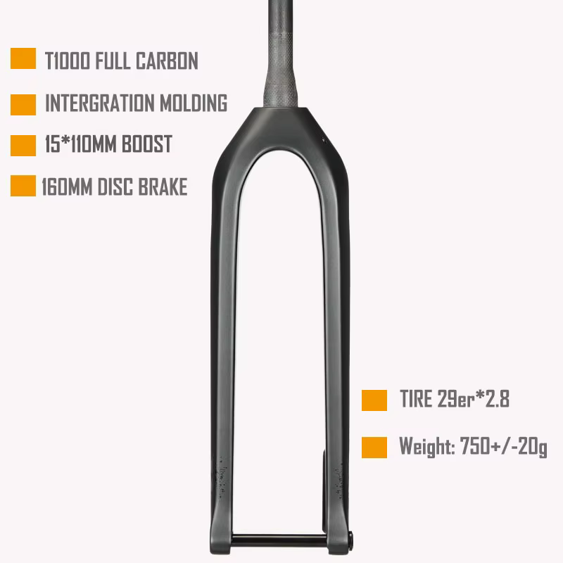 Boost-Fourche de Descente VTT 29er en Carbone Rigide