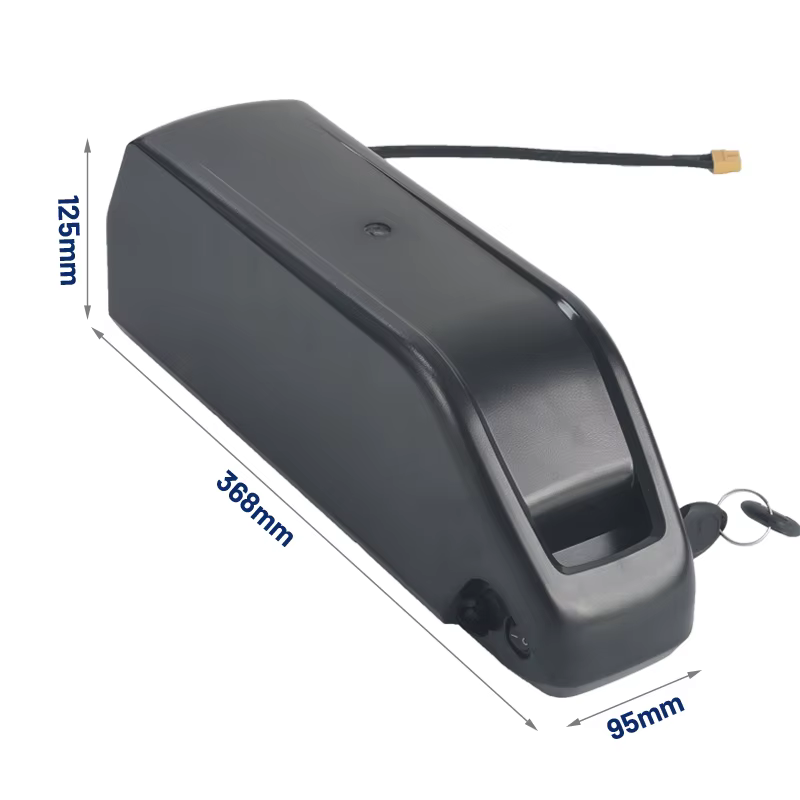Polly-Batterie lithium-ion 48V