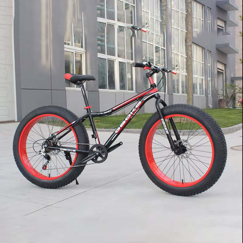 Jeu de roues de vélo de neige 20x4.0