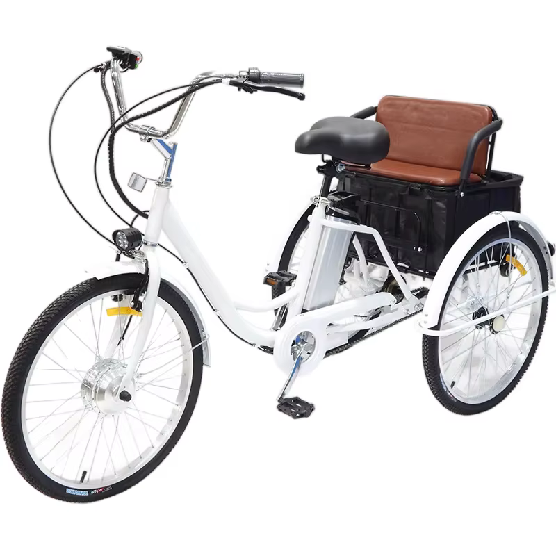 Vélo électrique familial à 3 roues avec Aduts de fret pour enfants