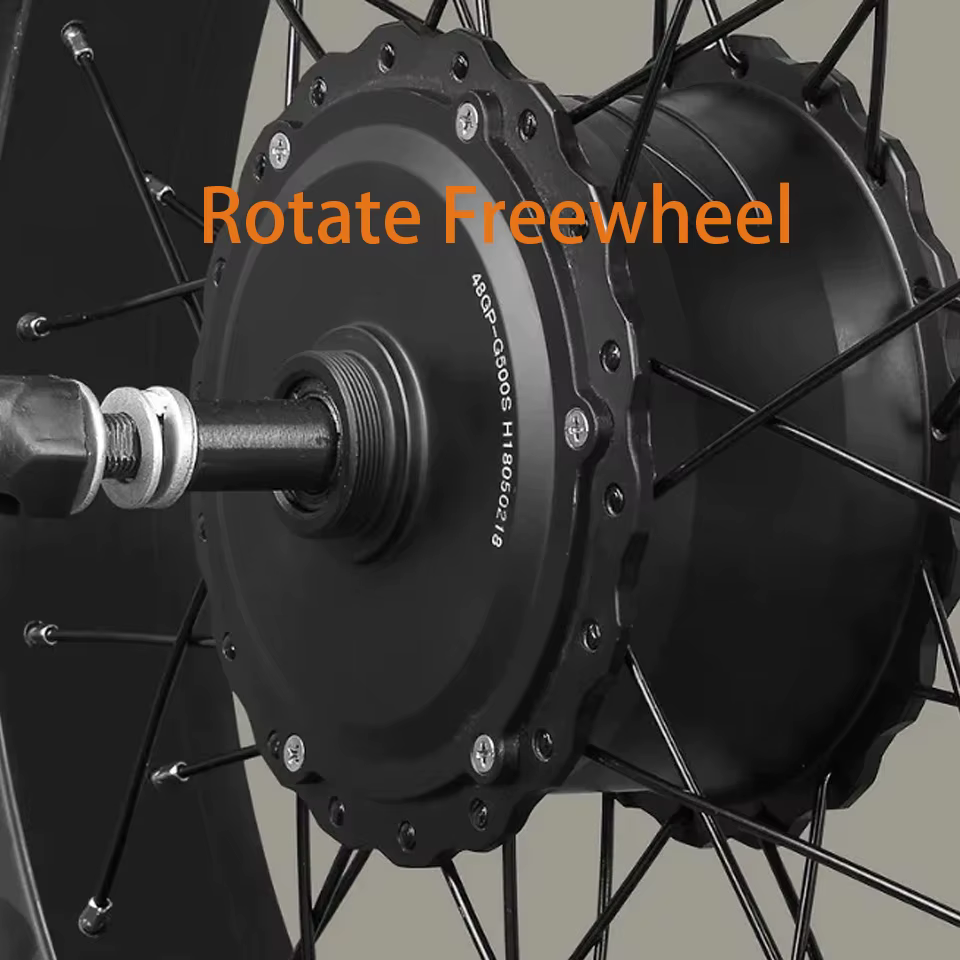 Vélo électrique Fat Bike 36V 48V 500W 750W