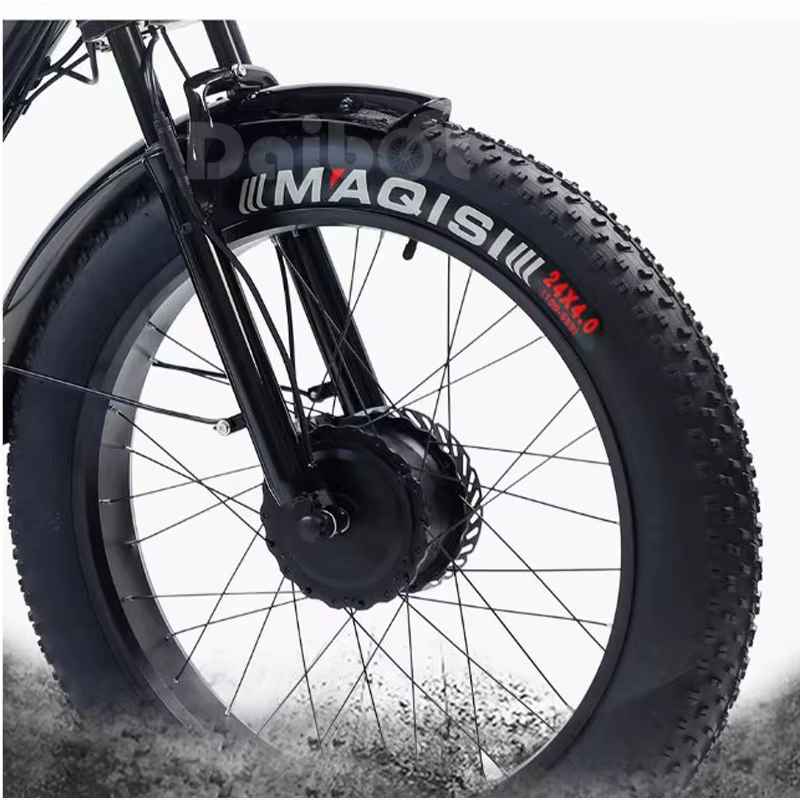 24 pouces gros pneu puissant vélo électrique pour hommes 750w Cargo Tricycle