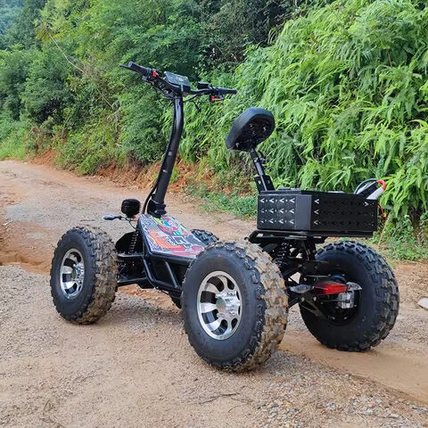 20 pouces tout Terrain 4x4 hors route Scooter électrique 8000W60V